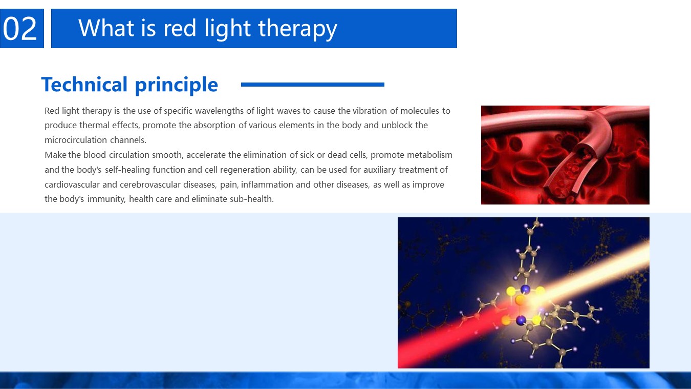 Slide11