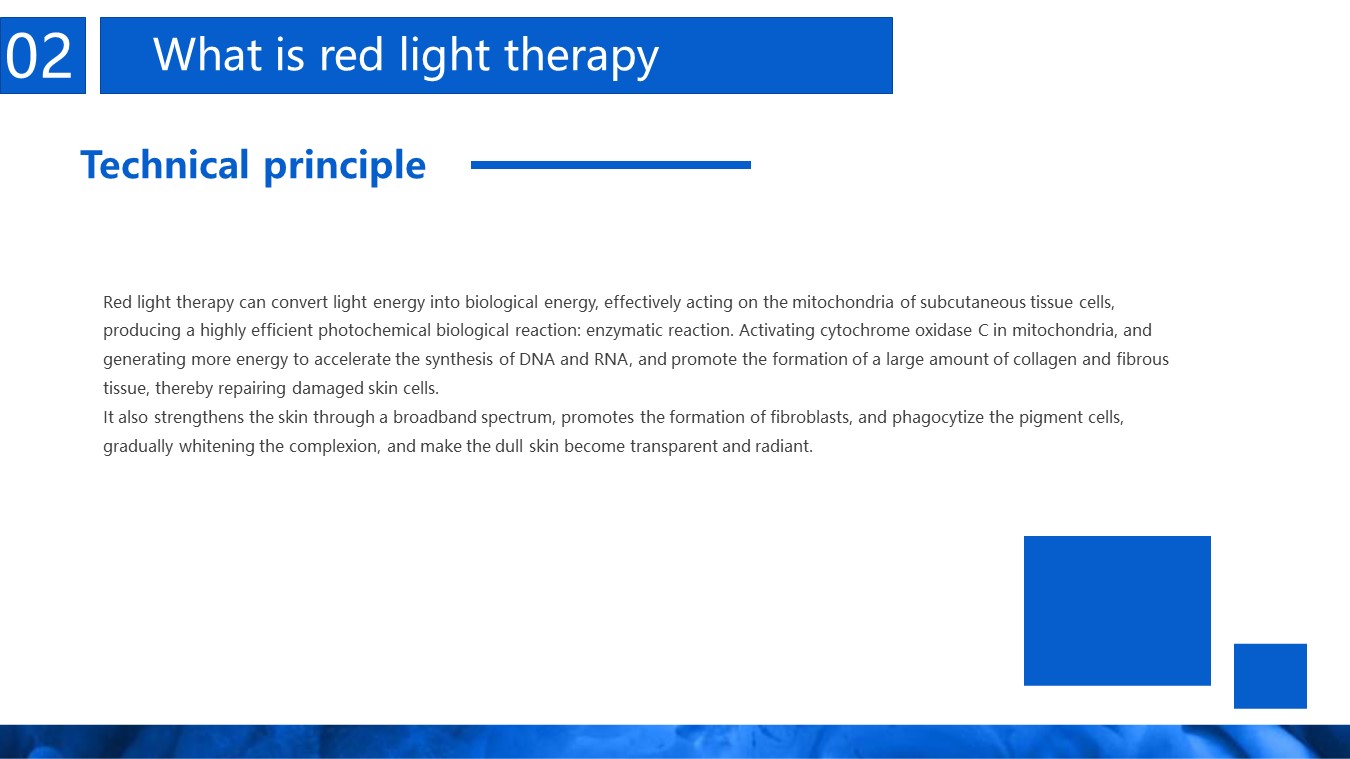 Slide12