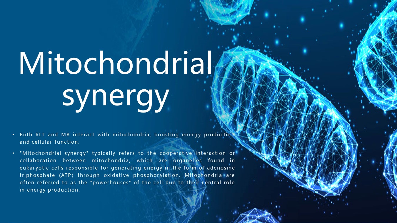 Slide26