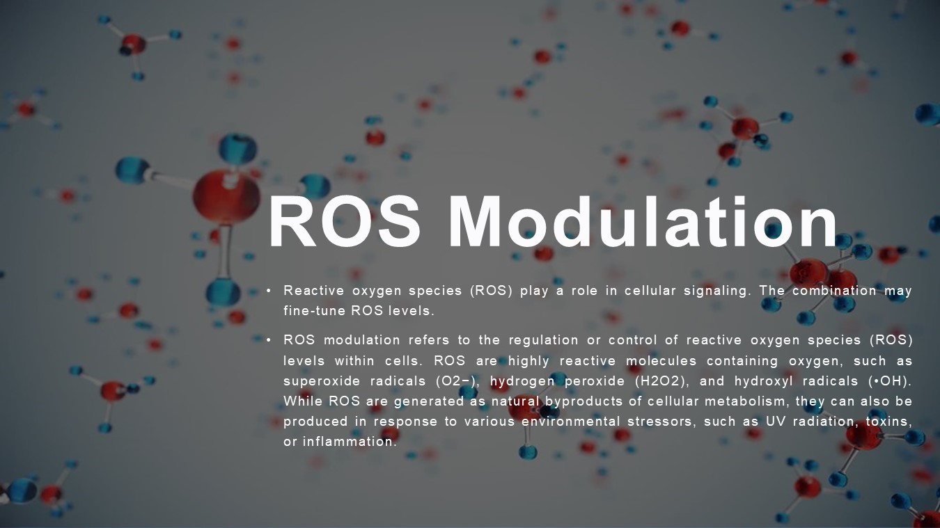 Slide27